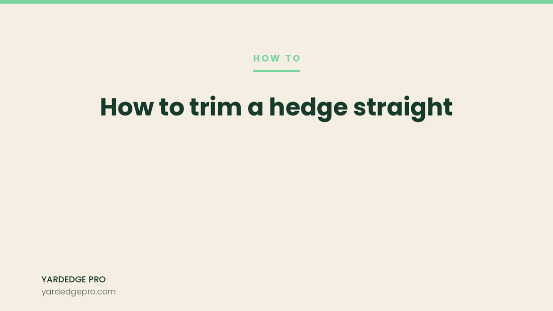 How to trim a hedge straight