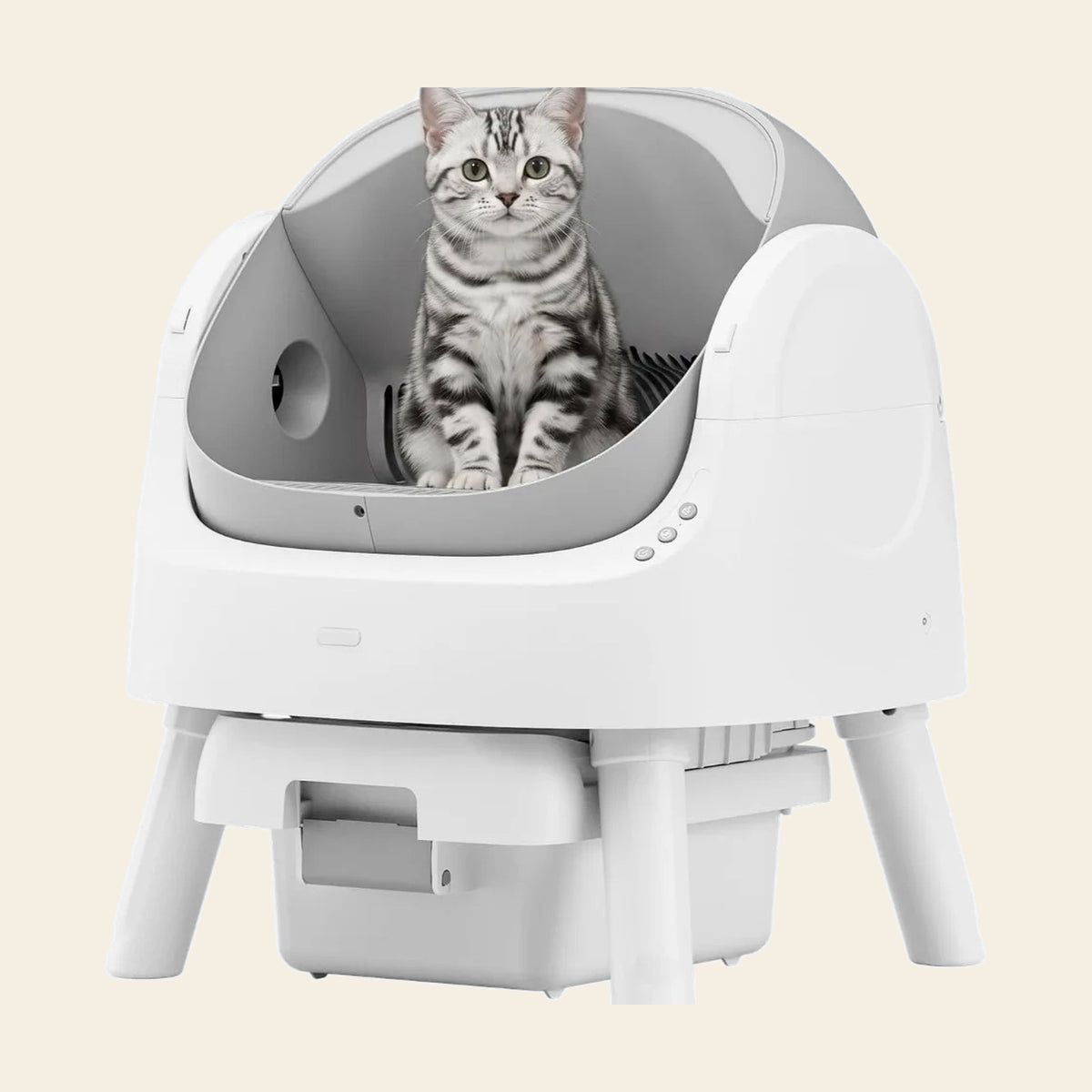 Silver tabby cat sitting inside the open top self-cleaning litter box, which stands on four legs above its waste drawer