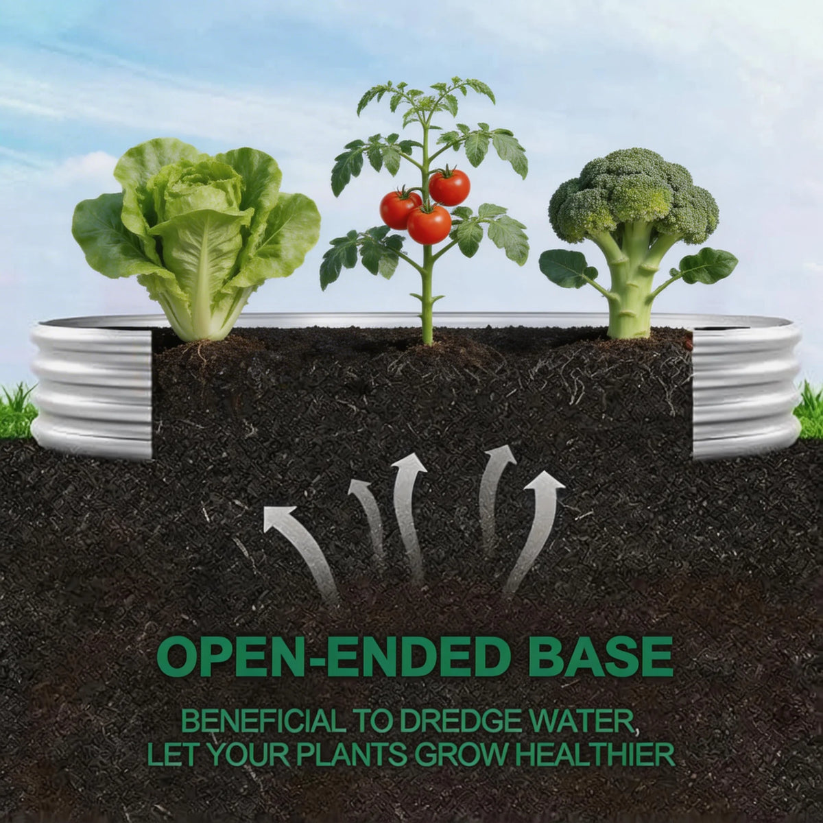 Galvanized raised garden bed shown from above, planted