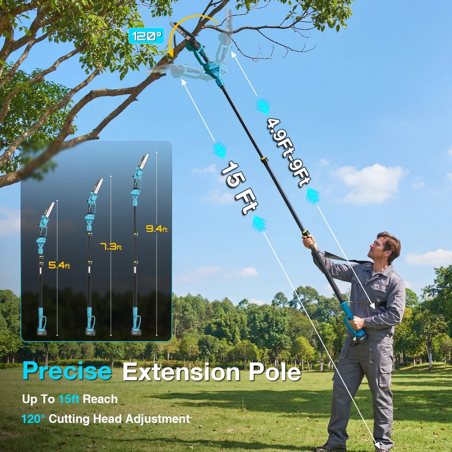 Precise extension pole reaches high branches without a ladder